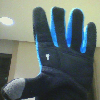 Illustration for article titled Hashtag Gloves :(